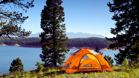 25 Fun and Exciting Activities to Do While Camping
