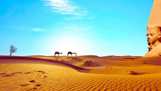 How to Prepare for a Successful Desert Trip: Your Ultimate Guide